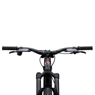 Rocky Mountain Altitude Carbon 70 (29) M black/carbon Produktbild 3