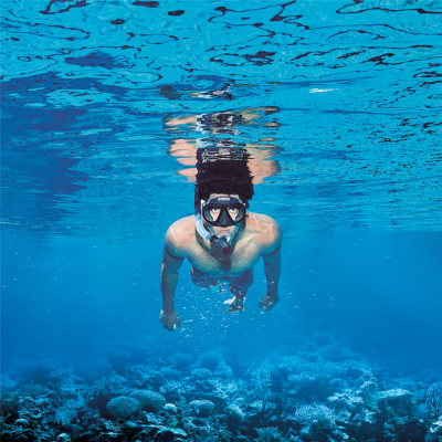 Arena Premium Snorkeling Set one size black/clear/black Unisex Produktbild 1