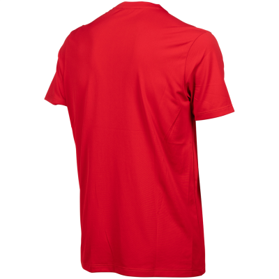 Arena Team T-Shirt Solid L red Unisex Produktbild 1