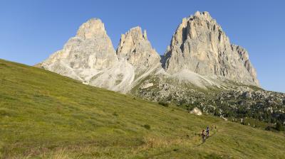 Trek Powerfly+ 4 EU M 29 Gloss Dark Star/Matte Dark Web Produktbild 9