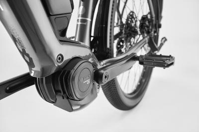 Diamant Zing Trip Core MS L Baumwollweiss Metallic 800Wh Produktbild 2