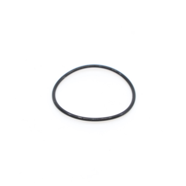 Rocky Mountain O-Ring 20mm ID one size