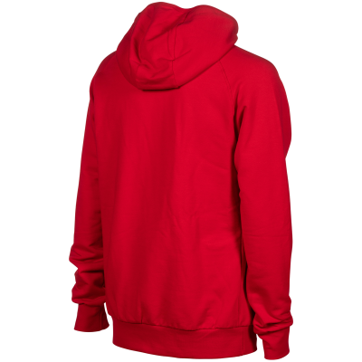 Arena Team Hooded Sweat Panel M red Unisex Produktbild 1