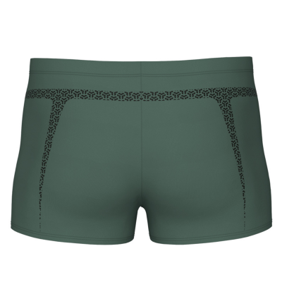 Arena M Arena Pro_File Swim Short Graphic D 8 sage/black Herren Produktbild 1