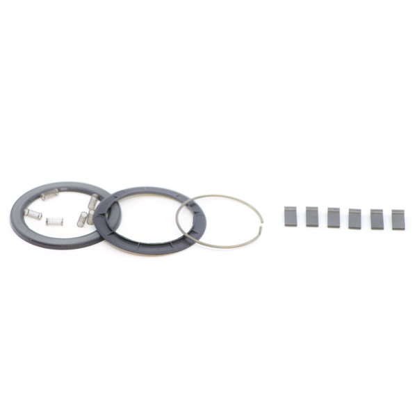 Zipp Spring and pawl Set for Zipp ZR1/ZM2 SL Hubs one size