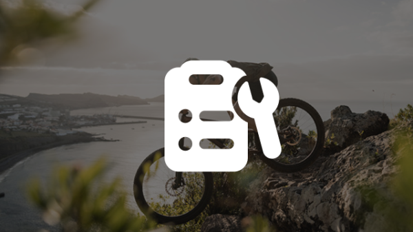 Inspektion Mountainbike